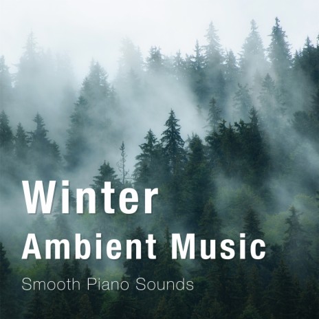 The Pianist in the Cold | Boomplay Music