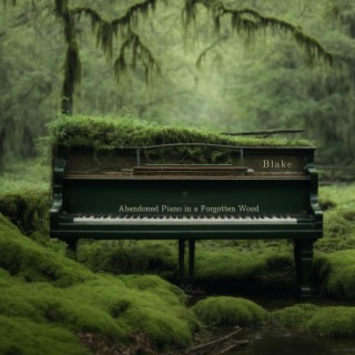 Abandoned Piano in a Forgotten Wood