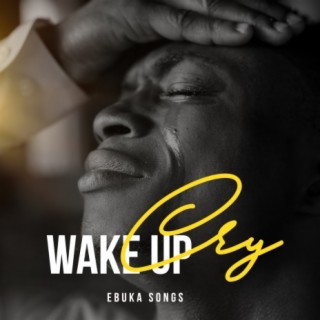 Awake Sleeping Soldier lyrics | Boomplay Music