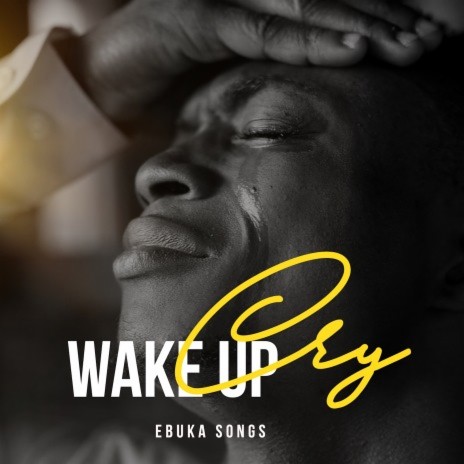 Awake Sleeping Soldier | Boomplay Music