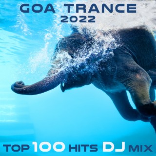 Goa Trance 2022 Top 100 Hits