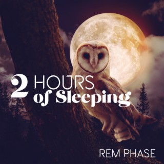 2 Hours of Sleeping: REM Phase