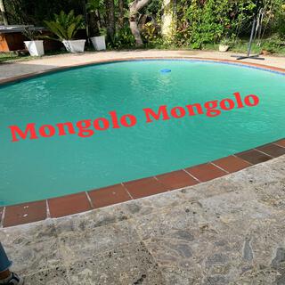 Mongolo Mongolo