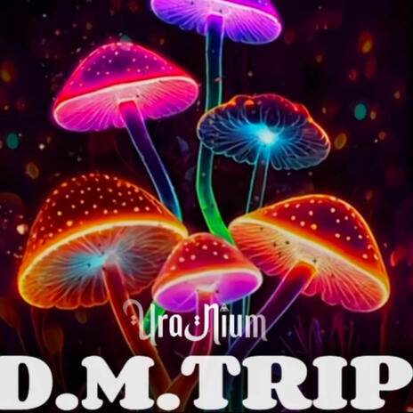 DMTrip | Boomplay Music