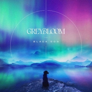 Black Dog lyrics | Boomplay Music