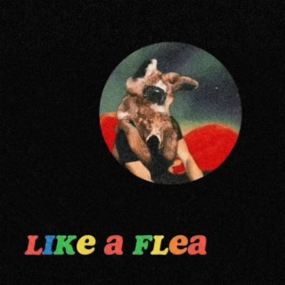 Like a Flea