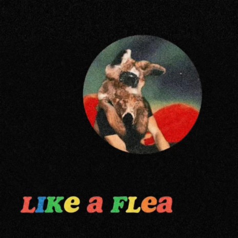 Like a Flea | Boomplay Music