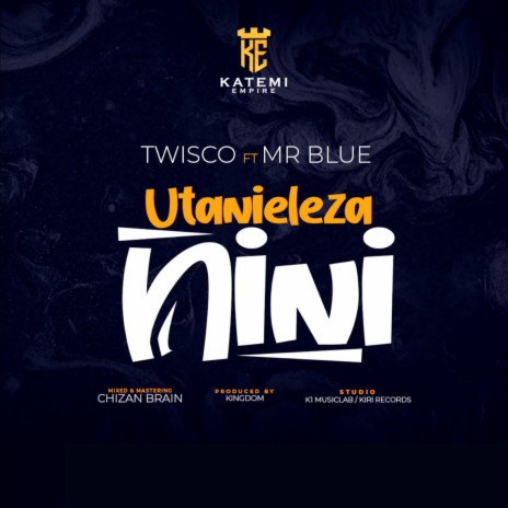 UtaNieleza NiNi ft. Mr.Blue | Boomplay Music