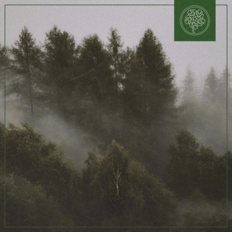 Brocéliande ft. Beats for Trees | Boomplay Music