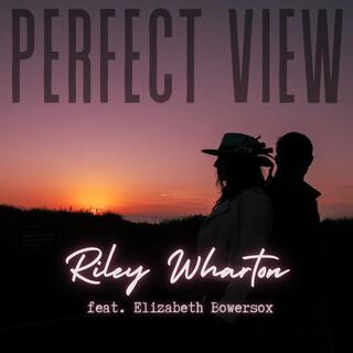 Perfect View ft. Elizabeth Bowersox lyrics | Boomplay Music