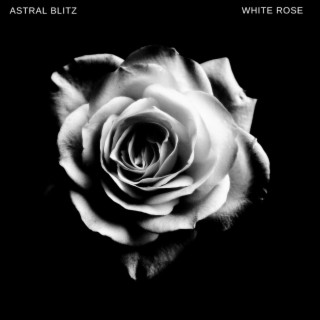 White Rose