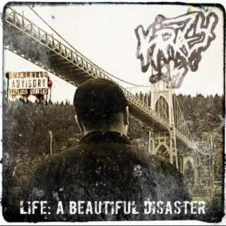 Life: A Beautiful Disaster