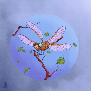 libélulas (dragonflies)