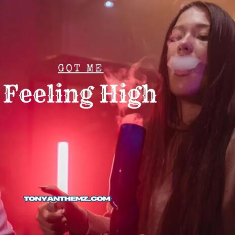 Got Me Feeling High (Instrumental) | Boomplay Music