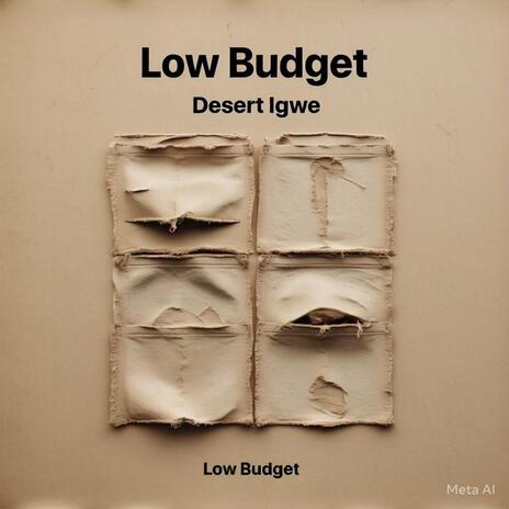 Low budget ft. Jolly bro | Boomplay Music