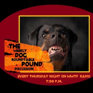 The Dog Pound: Our Weekly Roundtable Discussion