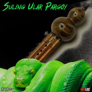 Suling Ular Pargoy