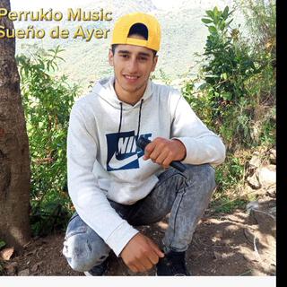 Perrukio Music