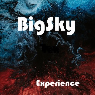 Experience (Radio Edit) lyrics | Boomplay Music