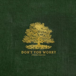 Don't You Worry (String Version)