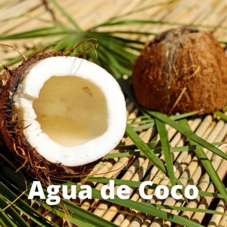 Agua de Coco ft. Dj Maya | Boomplay Music