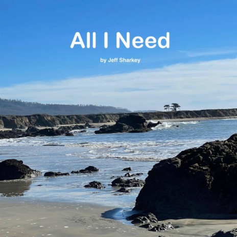 All I Need ft. Jeff Sharkey | Boomplay Music