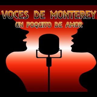 Voces de Monterrey