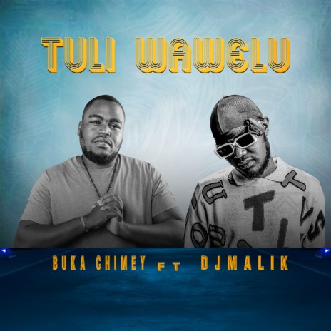Tuli Wawelu ft. Dj Malik | Boomplay Music
