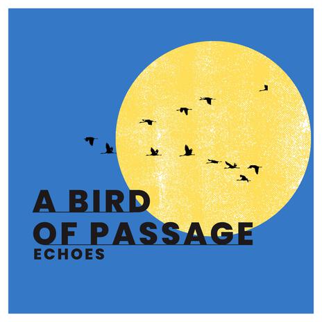 A bird of passage (Radio Edit) | Boomplay Music