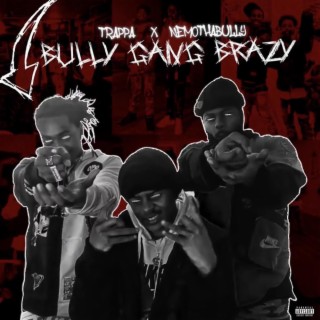 BULLYG24GBRAZY