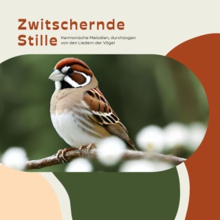 Zwitschernde Stille - Harmonische Melodien, durchzogen von den Liedern der Vögel