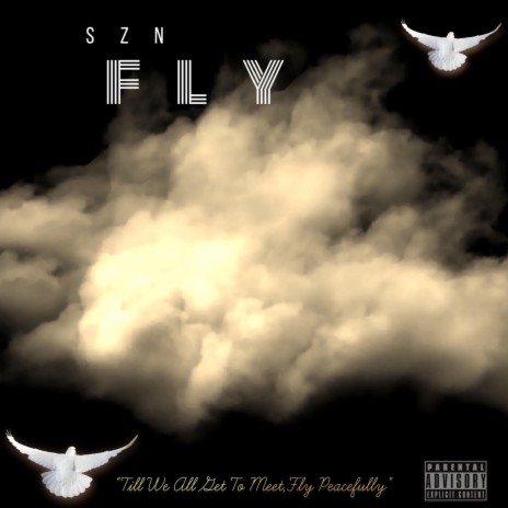 Fly | Boomplay Music