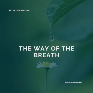 The Way of the Breath - Relaxing Music