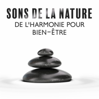 Sons de la nature de l'harmonie pour bien-être: Musique zen pour espace émotionnel, Meditation anti stress et relaxante de yoga