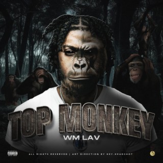 Top Monkey | Boomplay Music