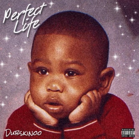 Perfect Life | Boomplay Music