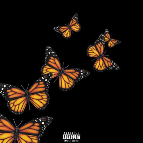 Butterfly doors | Boomplay Music