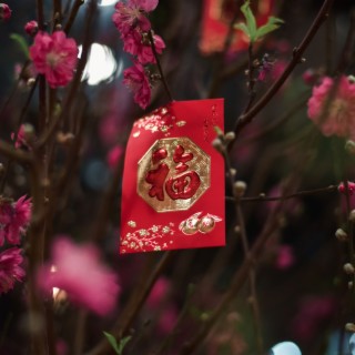 Chinese New Year, Vol. 2