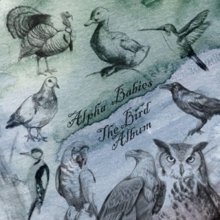 The Bird Album