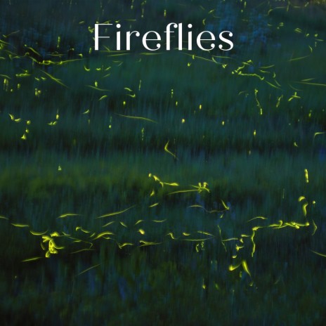Fireflies (Meditation) | Boomplay Music