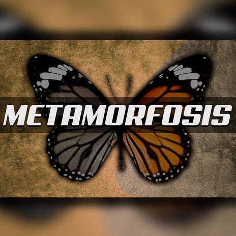 Metamorfosis