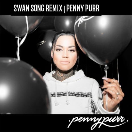 Swan Song (remix) | Boomplay Music
