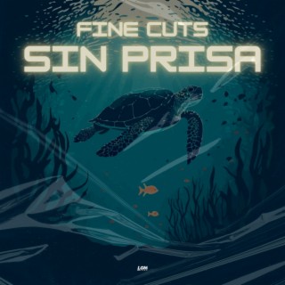 Sin prisa