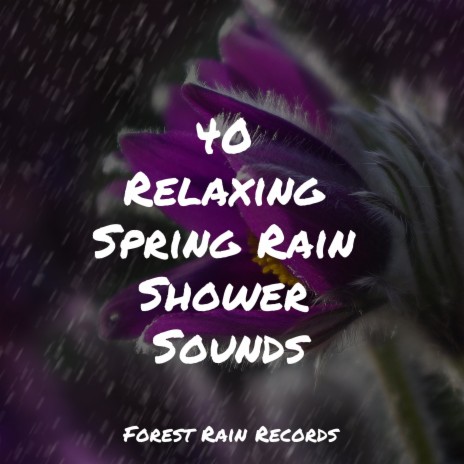 Summer Rains | Boomplay Music