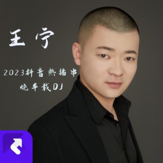 王寧2023抖音串燒車載DJ