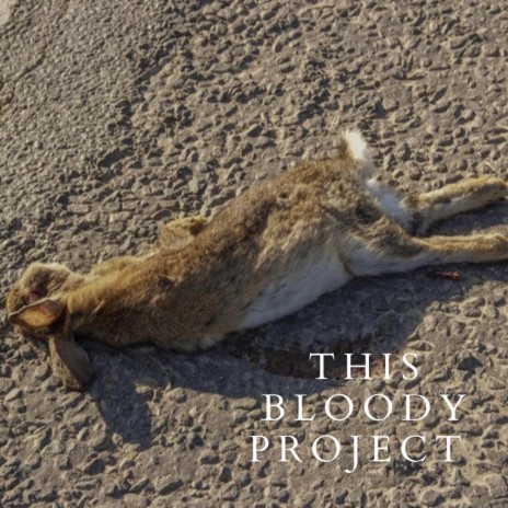 This Bloody Project | Boomplay Music