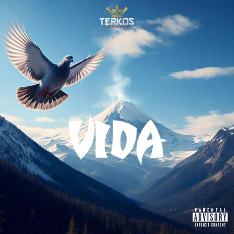 Vida | Boomplay Music