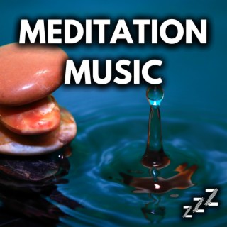 Calming Music for Meditation, Sleep, Studying, Reading, Dogs, & Cats