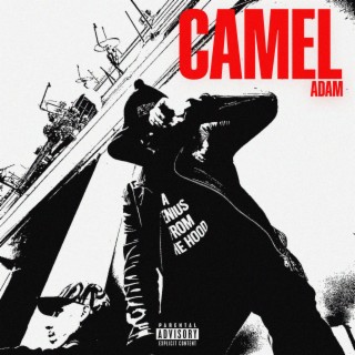 CAMEL lyrics | Boomplay Music