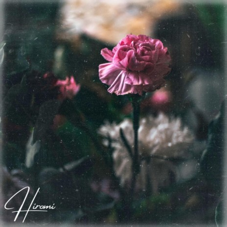 Rose Reminiscence | Boomplay Music